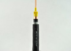 KVVP2-22銅帶屏蔽鋼帶鎧裝控制電纜